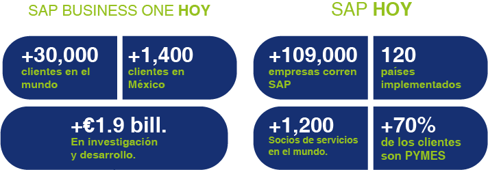 SAP_B1_HOY
