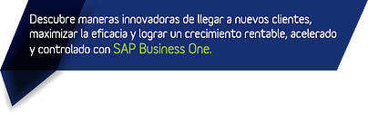 descubre_sap_business_one