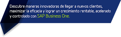 descubre_sap_business_one