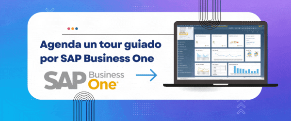Tour guiado SAP Business One
