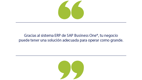 SAP Business One es la mejor opción para tu empresa_quotedest
