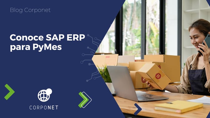 SAP ERP_blog