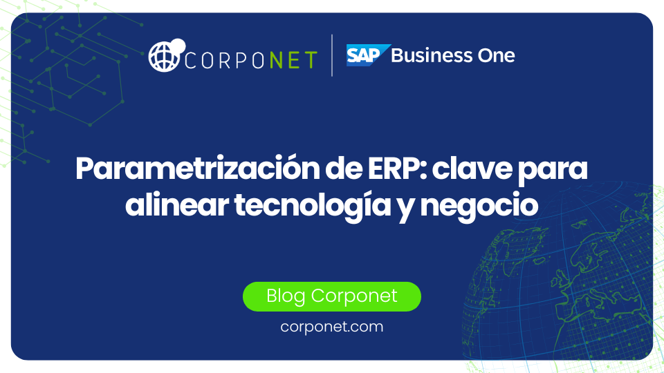 parametrizacion erp