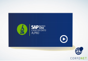 Caso de éxito SAP Business One Caso de éxito SAP Business One
