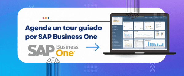 Lo que significa una implementación de SAP B1