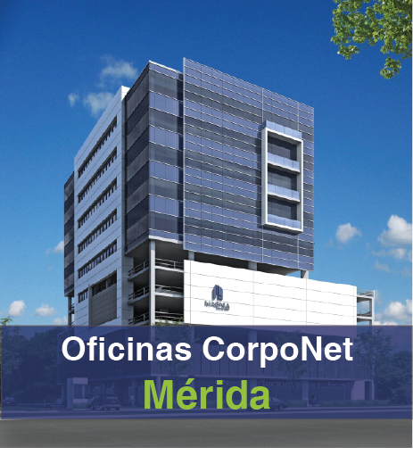 SAP Business One Mérida