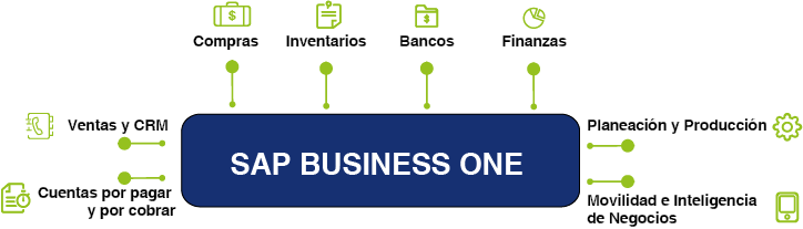 SAP_BUSINESS_ONE_ERP_MODULOS