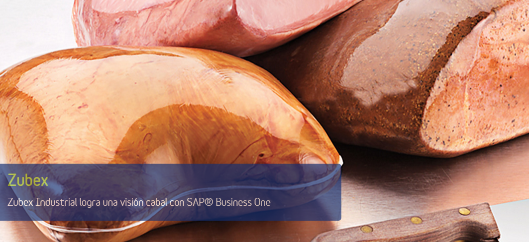 caso_de_exito_sap_business_one_zubex-2.png