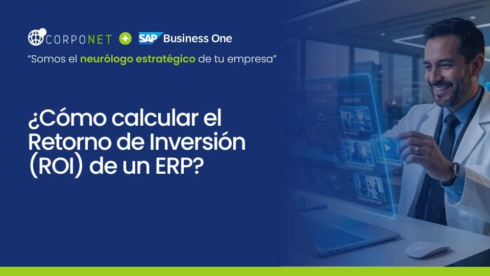 roi erp