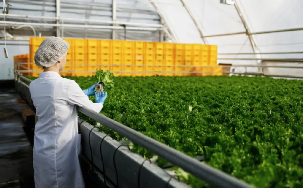SAP Business One es el ERP ideal para empresas de agroindustria.